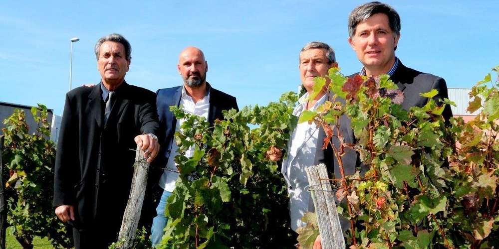 Pierre, George, Sébastien et Lionel DUPRAT - Pays Basque Excellence